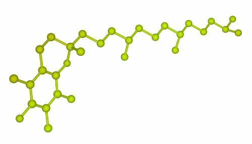 Common antioxidants include ascorbic acid (vitamin C) and vitamin E. Mountains of research suggest dietary antioxidants have health benefits for pets.