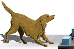 Figure 1. In this example of the apparatus used in a typical test, a tray in the response area contains food wells with objects covering them. The dog displaces one of the objects with its nose. The correct object conceals a food reward.