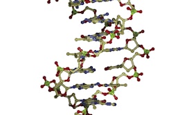 Model for sorption of mycotoxins onto the surface of clay. Current research into mycotoxin reduction involves the mixing of certain types of clays with the contaminated grain. Image credit: Dr. Tim Phillips, TAMU.