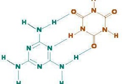 Melamine (green) and cyanuric acid(red) easily form hydrogen bonds (blue dotted lines) with each other. Melamine and cyanuric acid can form networks of hydrogen bonds, creating a tile-like planar structure through molecular self-assembly.