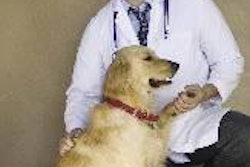 Veterinarians were on the front lines of the recalls in many ways.