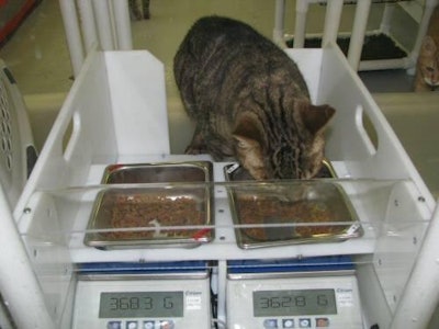 The patent pending Palatability Monitoring System from Summit Ridge Farms collects data for true side-by-side, two bowl palatability testing of group housed cats.
