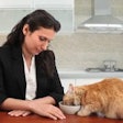 Get involved! How can petfood manufacturers make meal time for family pets more of a hands-on and bonding experience?