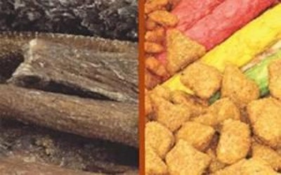 Consumers perceive 'fresh' and 'natural' ingredients by color, texture, smell and shape. The product on the left appears more 'natural', while the kibble and treats to right look 'artificial' and therefore, less appealing.