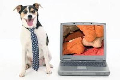 Social networking sites, web-based product ideas, contests and online forums seem to be the future of new pet product development.