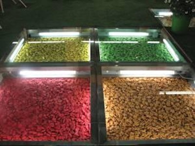Interzoo 2010 was full of creative stands from petfood manufacturers, including lighted floor displays of treats from Rolls Rocky of Italy.
