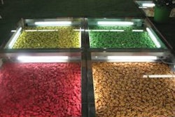 Interzoo 2010 was full of creative stands from petfood manufacturers, including lighted floor displays of treats from Rolls Rocky of Italy.