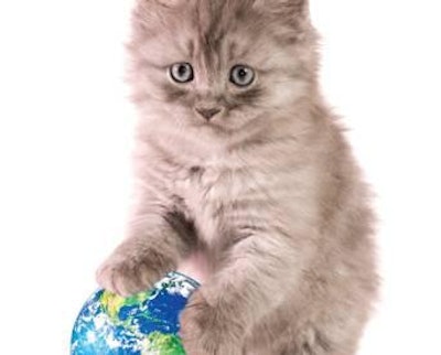 The global petfood market has been riding a strong wave of growth, in both developed and developing markets, which should sustain it through uncertain economic times, predict both Euromonitor and Packaged Facts.