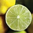 Citric acid occurs naturally in nearly all plant and animal tissues. In our food supply, it is most abundant in citrus fruits like lemons and limes.