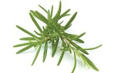 Rosemary extract, a common ingredient in dry petfoods, is the oily resin derived from the leaves of the rosemary plant.