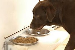 Panelis has implemented an index of lateralization to help avoid position eating: animals showing a preference for one side regardless of the product or conditions.