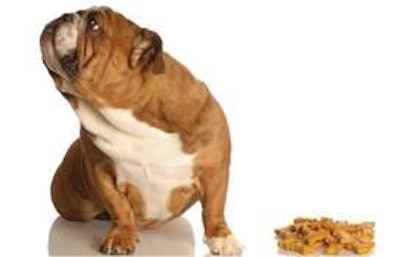 Current literature regarding satiety has mostly focused on humans and human models, but there has been some evaluation of different nutrients on satiety in dogs and cats.