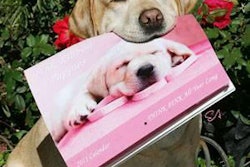 Courtesy www.pinkribbonpuppies.com