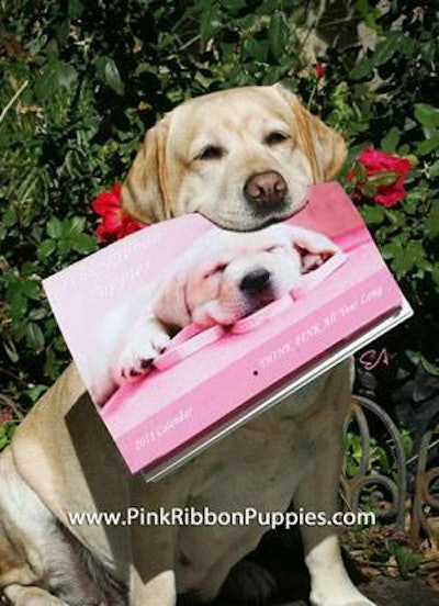 Courtesy www.pinkribbonpuppies.com