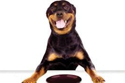 some of the latest innovative functional ingredients originating from the most recent nutrition discoveries help improve or maintain good pet health.