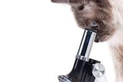 Intervention tools that can assure that your finished petfood and treat products are pathogen free are essential.
