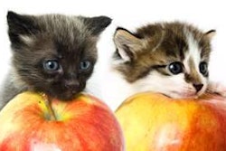 Not until recently have we begun to understand the numerous benefits dietary fiber may have on dog and cat health and well-being.