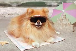 Recent research stressing the importance of the human-animal bond and the humanization of companion animals are strong drivers in the way consumers perceive pet products and pet brands in general.