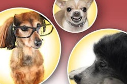 It is clear that more is needed regarding how nutrition affects behavior, but it is a growing area of research with direct implications to pets kept in homes.