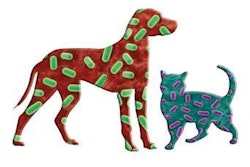 Dogs and cats prone to digestive sensitivity, like soft stool, gastrointestinal distress or diarrhea, may benefit tremendously from a food containing prebiotics and probiotics.
