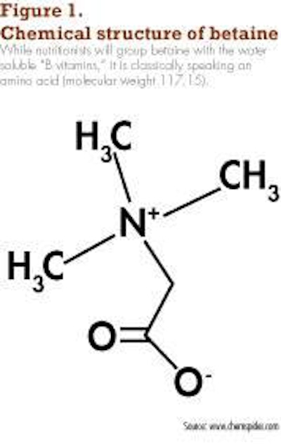 While nutritionists will group betaine with the water soluble “B vitamins,†it is, classically speaking, an amino acid (molecular weight 117.15).