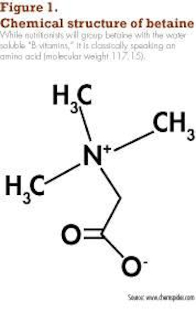 While nutritionists will group betaine with the water soluble â€œB vitamins,â€ it is, classically speaking, an amino acid (molecular weight 117.15).