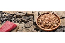 Could petfood enhancers be the NPD sweet spot? Or are there other consumer trends to consider more carefully?