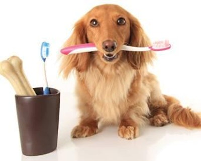 Teaching pet parents that preventative pet oral care can add years to their pets' lives and save them money in the future is an imperative message for the petfood and treat industry to spread.