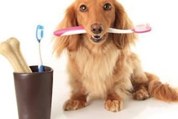 Teaching pet parents that preventative pet oral care can add years to their pets' lives and save them money in the future is an imperative message for the petfood and treat industry to spread.