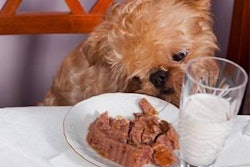 Health and how what we eat affects our health are at the forefront of the human food movement, so an emphasis on nutrigenomics, novel ingredients and holistic methods has been the answer petfood manufactuers have served up to the 'But is it healthy?' call.