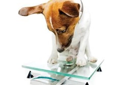 Dogs who lost weight in a recent study proved that their quality of life improved as their weight dropped. Animals experienced increased vitality and decreased emotional disturbance and pain.