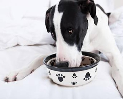 The range of calcium intake allowing optimal bone development is smaller for Great Danes than for other breeds.