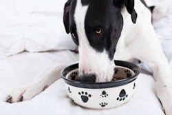 The range of calcium intake allowing optimal bone development is smaller for Great Danes than for other breeds.