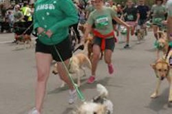 Meredith Leslie, of P&G, runs with Pawl Griffin, Iams VP of Canine Communications, during the Iams Flying Fur dog run in downtown Cincinnati, May 3, 2014. More than 500 dogs and owners ran in the two-mile race as part of races taking place during the Flying Pig Marathon weekend events. Iams Bowls of Love will be donating a bag of petfood for each dog running in the event to the SPCA in Cincinnati. (Tom Uhlman/AP Images for Iams)
