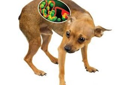 Pet parents now know to look for probiotic digestive aids on ingredient lists when searching out a petfood for a dog with a finicky stomach.