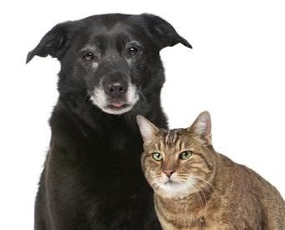 It is estimated that half of the US dog population is over the age of six, while over 40% of cats are over the age of seven.