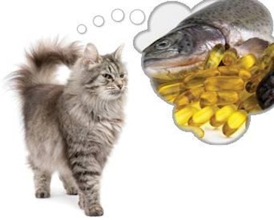 There are several types of omega-3 fatty acids. Two crucial onesâ€”EPA and DHAâ€”are primarily found in certain oily fish, such as salmon.