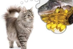 There are several types of omega-3 fatty acids. Two crucial ones—EPA and DHA—are primarily found in certain oily fish, such as salmon.