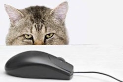 While most pet owners indicated they reduced spending on pet supplies during the recession, according to a survey conducted by Pet Business, many consumers gravitated online to purchase more-affordable substitutes in lower quantities.