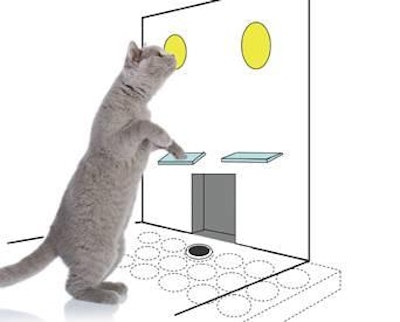 Opertech Bio's microtiter operant gustometer, or MOG, for use by cats (based on the company's existing MOG for rats currently in use) is currently in the prototype stage. A cat would choose taste samples out of individual wells in the floor of the apparatus. A system of two levers and a laser would allow the cat to indicate both what the sample tastes like and a taste preference.