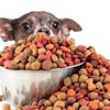 Petfoods and treats focused on specific health issues, specialized diets and ingredients appeal to consumers in a market flooded with products.