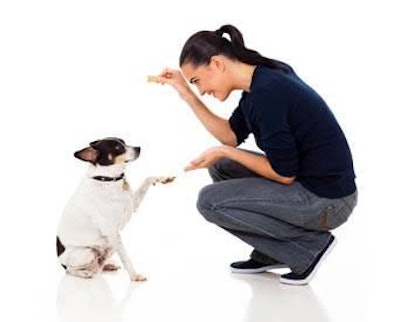 Pet owners want to provide functional nutrients by a method that is convenient, in a way that allows them to interact in a positive way with their animal companion, and in a form that it will readily accept, according to DSM survey results.