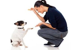 Pet owners want to provide functional nutrients by a method that is convenient, in a way that allows them to interact in a positive way with their animal companion, and in a form that it will readily accept, according to DSM survey results.