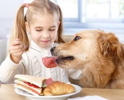 Many petfood enhancers mimic human food flavors and encourage pet owners to have more interaction with their pets during feeding time.