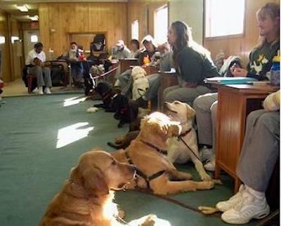 One of CHAMP's initiatives is an innovative program where women in a Missouri correctional facility learn how to train therapy and rescue dogs.