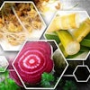 The future of the industry seems to point to a solid outlook for fiber in petfood, especially as consumers become more educated as to its benefits.