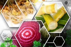 The future of the industry seems to point to a solid outlook for fiber in petfood, especially as consumers become more educated as to its benefits.