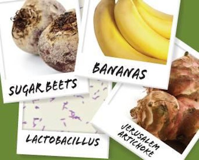 For new functional benefits in petfoods, prebiotics from sources such as garlic, Jerusalem artichokes, sugar beets and bananas can be combined with probiotics like Lactobacilli or Bifidobacteria to create synbiotics.