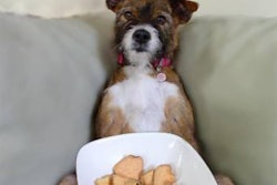 Overnight success stories can often sprout up from the new pet treat market, so it’s important to keep abreast of the most novel, on-trend treats being introduced to the marketplace.