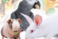 'A growing percentage of consumers in the small animal market are interested in ingredients they feel will offer their pets the best quality of life as well as the greatest longevity,' says Melissa Ross of Oxbow Animal Health.